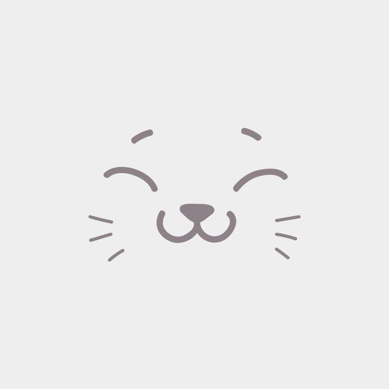 1er chaton (Portée Perle Précieuse ❤ Night Dark 2022) - Femelle black Femelle Maine coon