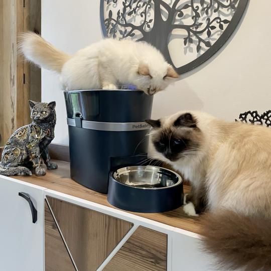 Distributeur Petsafe