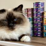 Filets poulet crevettes EdgardCooper 