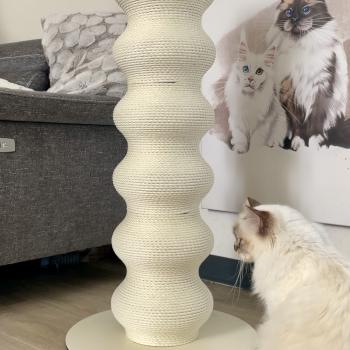 Code promo Felinature 