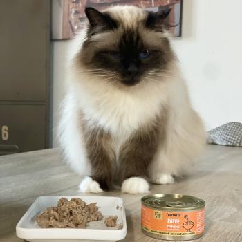 Franklin pâtée pour chat 
