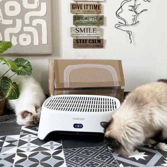 Air Step Neakasa Accessoire Litière automatique 