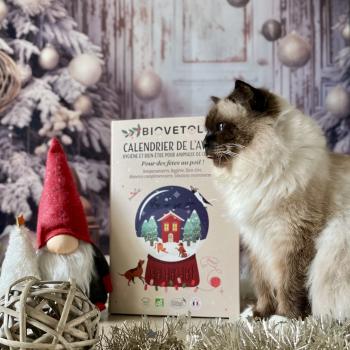 Meilleurs calendriers de l’Avent pour chien et chat