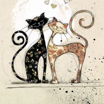 h007-two-lovecats-416x584